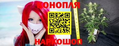 спайс Кандалакша