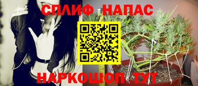 спайс Кандалакша