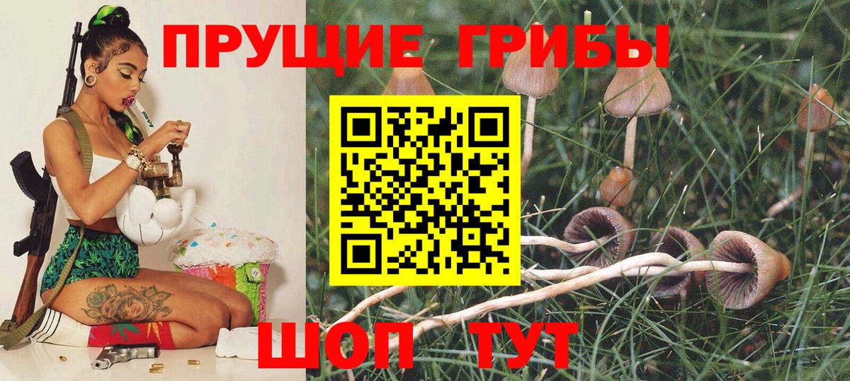 Галлюциногенные грибы прущие грибы  Вход с VPN  Псилоцибиновые грибы мухоморы  наркота  Георгиевск 